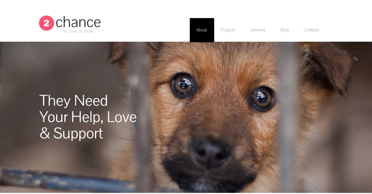 Free Impressive Animal Shelter WordPress Theme & Website Template