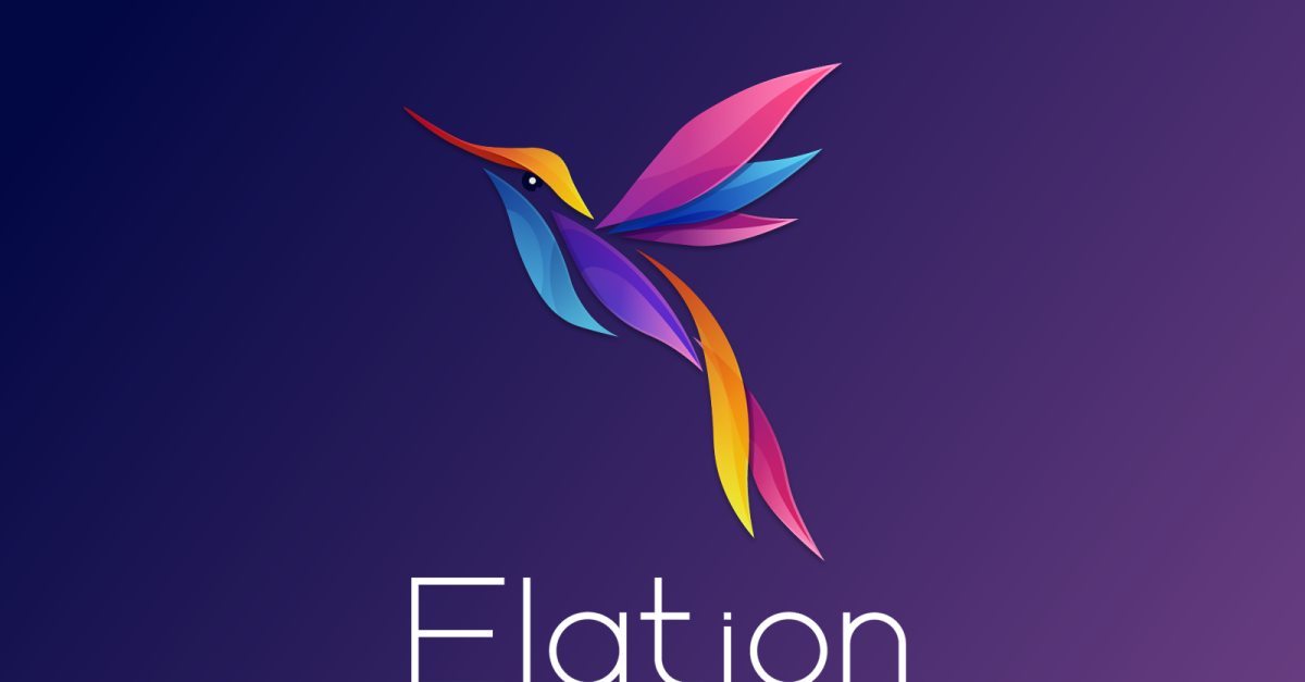 Elation - Colorful Gradient Hummingbird Logo Template