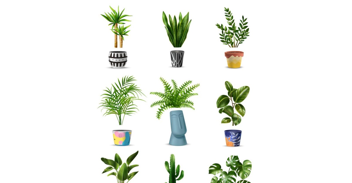 Realistic Green Home Plant Big Set Vector Illustration Concept