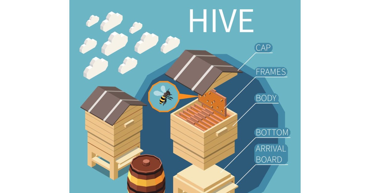Apiary Honey Production Isometric 5 Vector Illustration Concept