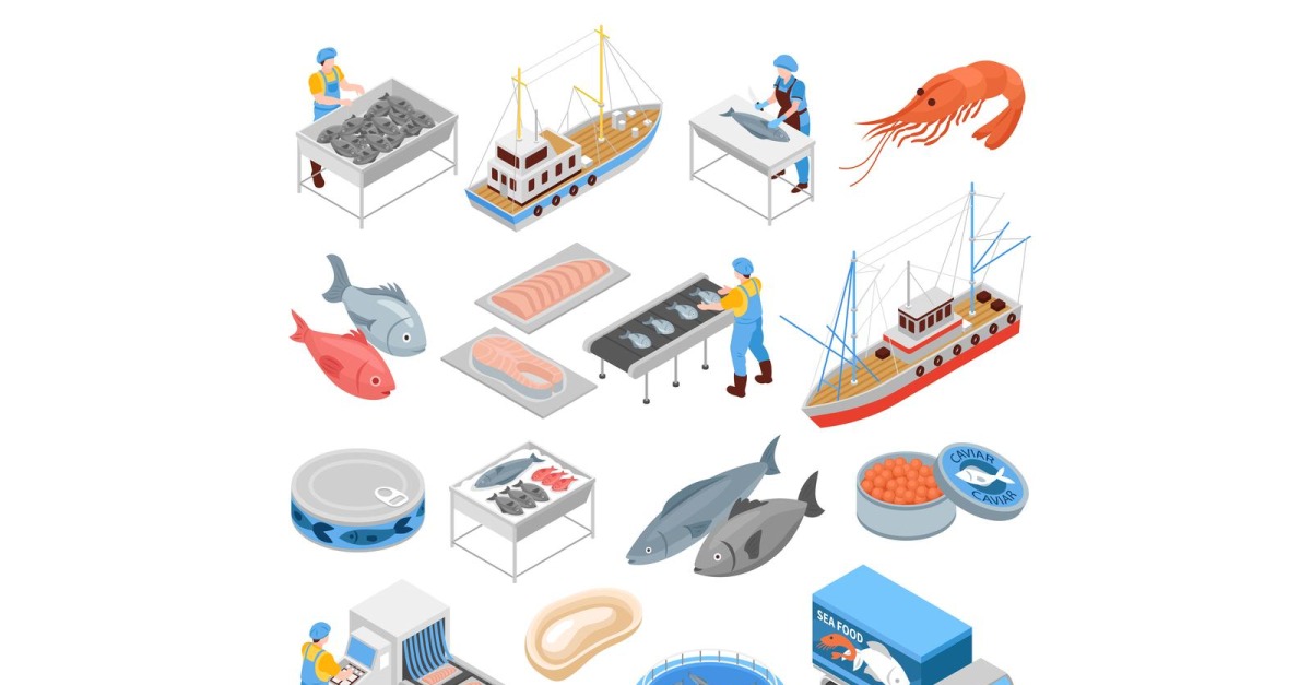 Isometric Fishing Production Set 201112131 Vector Illustration Concept