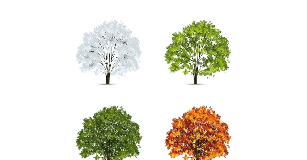 Realistic Tree Season Set 210130508 Vector Illustration Concept