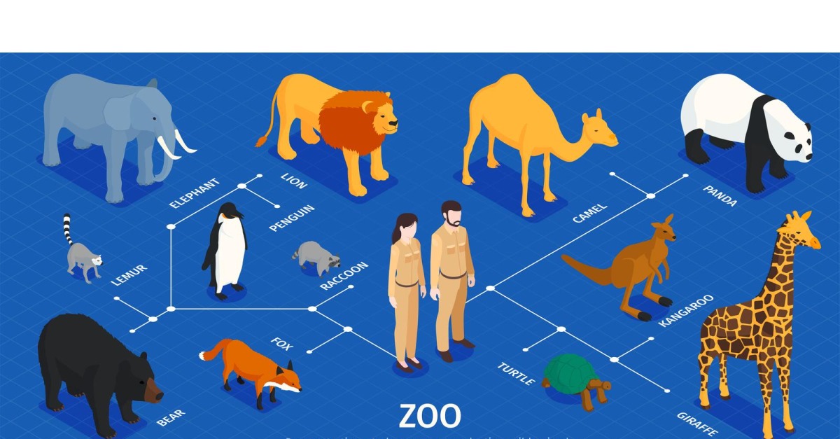 Isometric Zoo Infographics 201050419 Vector Illustration Concept