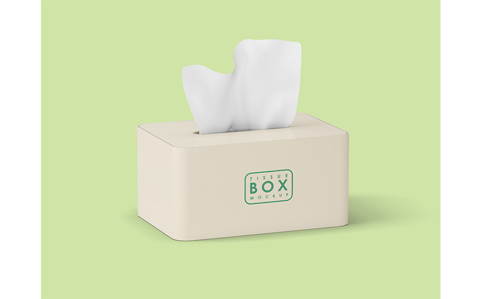 Tissue Box Mockup Template 223414 TemplateMonster