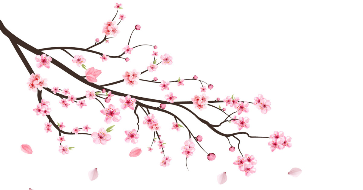 Japanische Kirschbl te Mit Sakura Bud TemplateMonster japanische-kirschbl-te-mit-sakura-bud-templatemonster