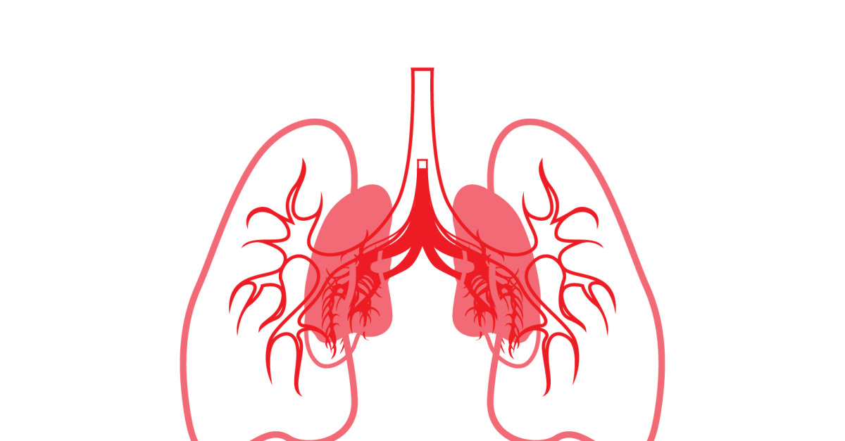 Human Lung Vector Image Template Vol 13 - TemplateMonster