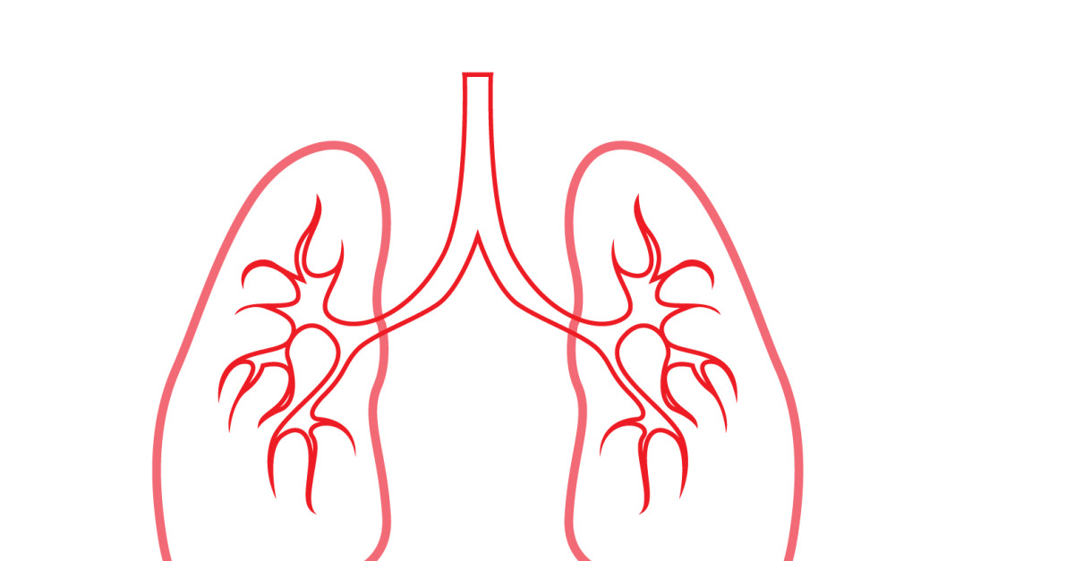 Human Lung Vector Image Template Vol 9 - TemplateMonster