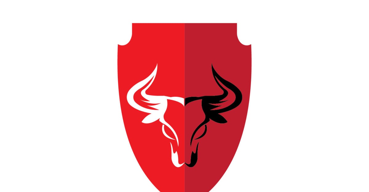 Creative Angry Shield Bull Head Logo Design Symbol 16