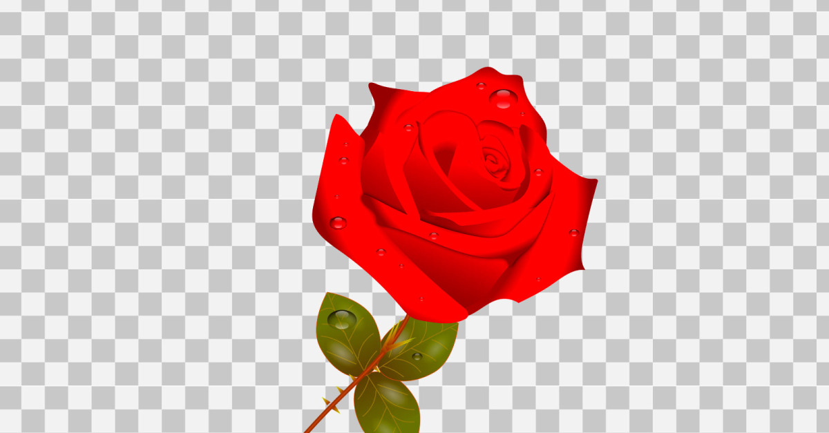 Vector red rose realistic rose bouquet with red flower design idea