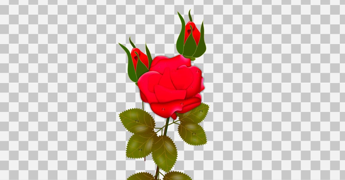Vector red rose realistic rose bouquet with red flowers concept