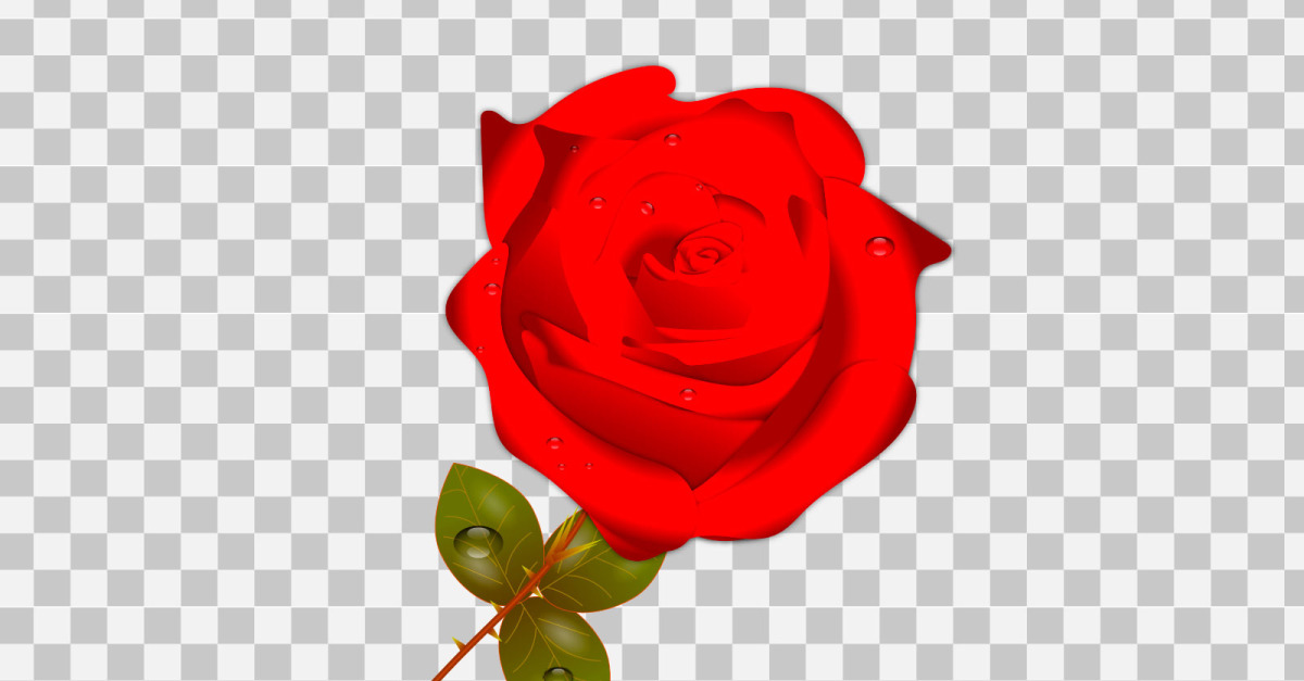 Vector singel red rose realistic rose bouquet with red flower concept