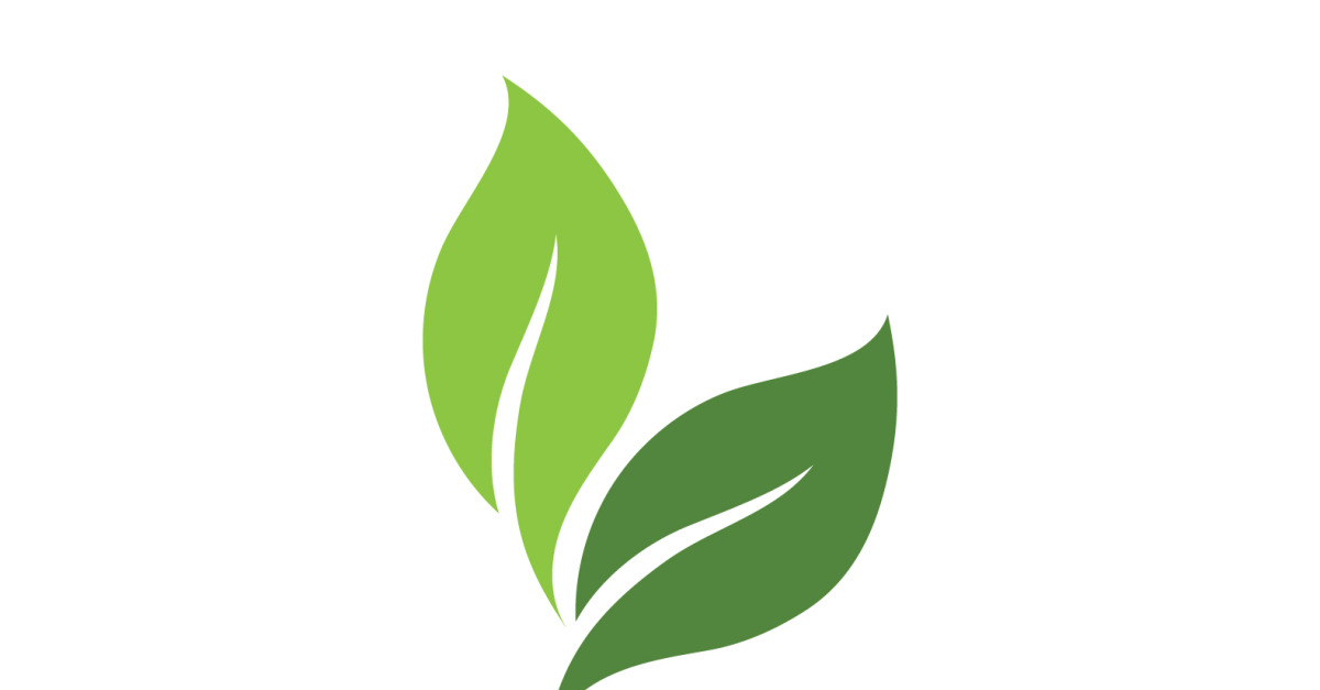 Hoja verde, logotipo de diseño de plantilla de elemento de árbol verde