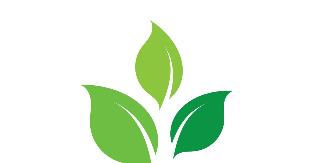 Leaf eco green tea nature fresh logo vector v19