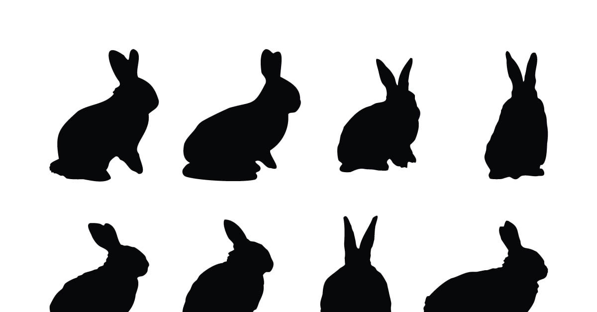 clipart de silhouette de lapin