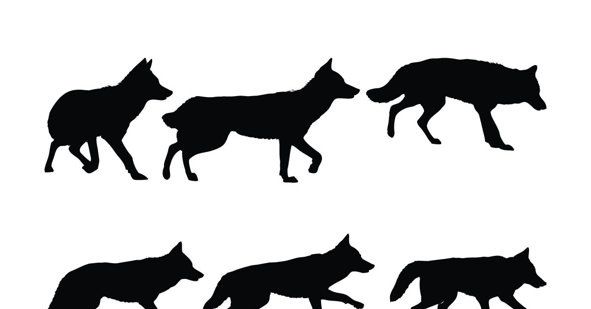 https://s.tmimgcdn.com/scr/1200x627/334300/coyote-wolf-walking-silhouette-bundle_334339-original.jpg