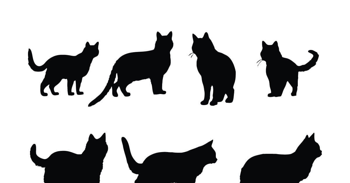 Furry cat silhouette set vector design - TemplateMonster