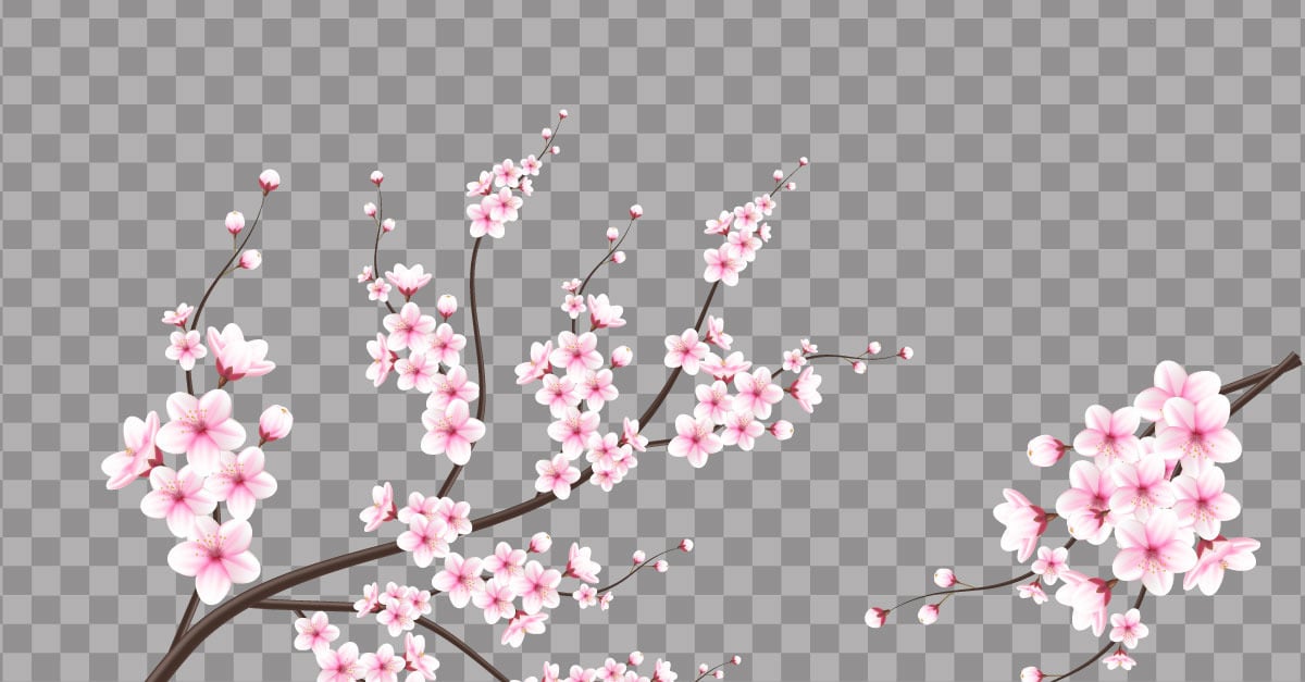 I fiori di ciliegio e il sole, ai illustrator file