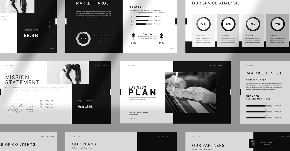 Business Plan Presentation Template''' - TemplateMonster