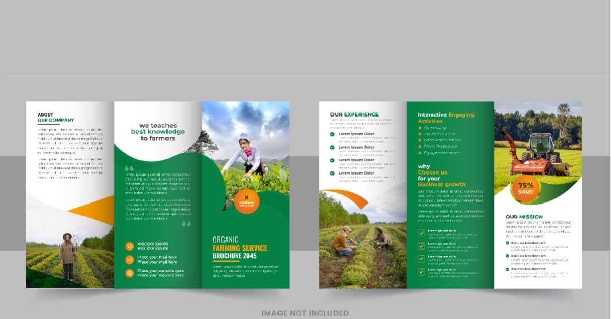 Gardening or Lawn Care TriFold Brochure Design