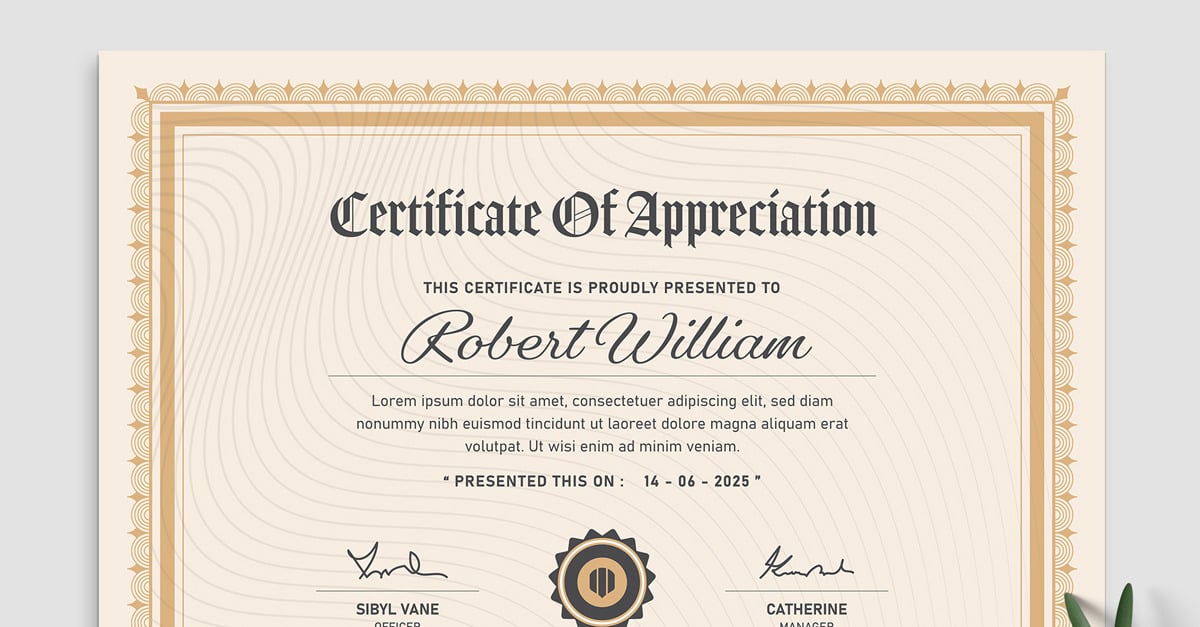 Professional Certificate of Appreciation - TemplateMonster