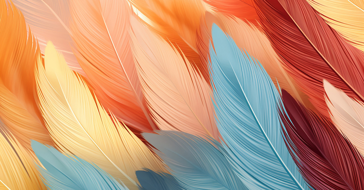 Feathers illustration design_colorful feathers pattern_premium feather art