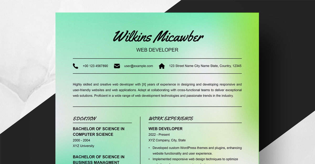 Clean And Simple Resume For Web Developer - TemplateMonster