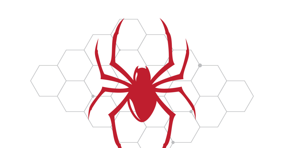 Spider icon vector illustration design template v.14
