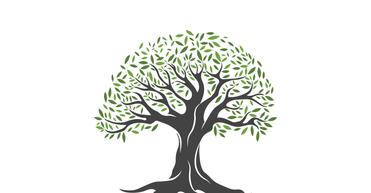 Albero Di Trasmissione Per Doppio Pedale Grancassa - Collegamento Barra Doppio Pedale