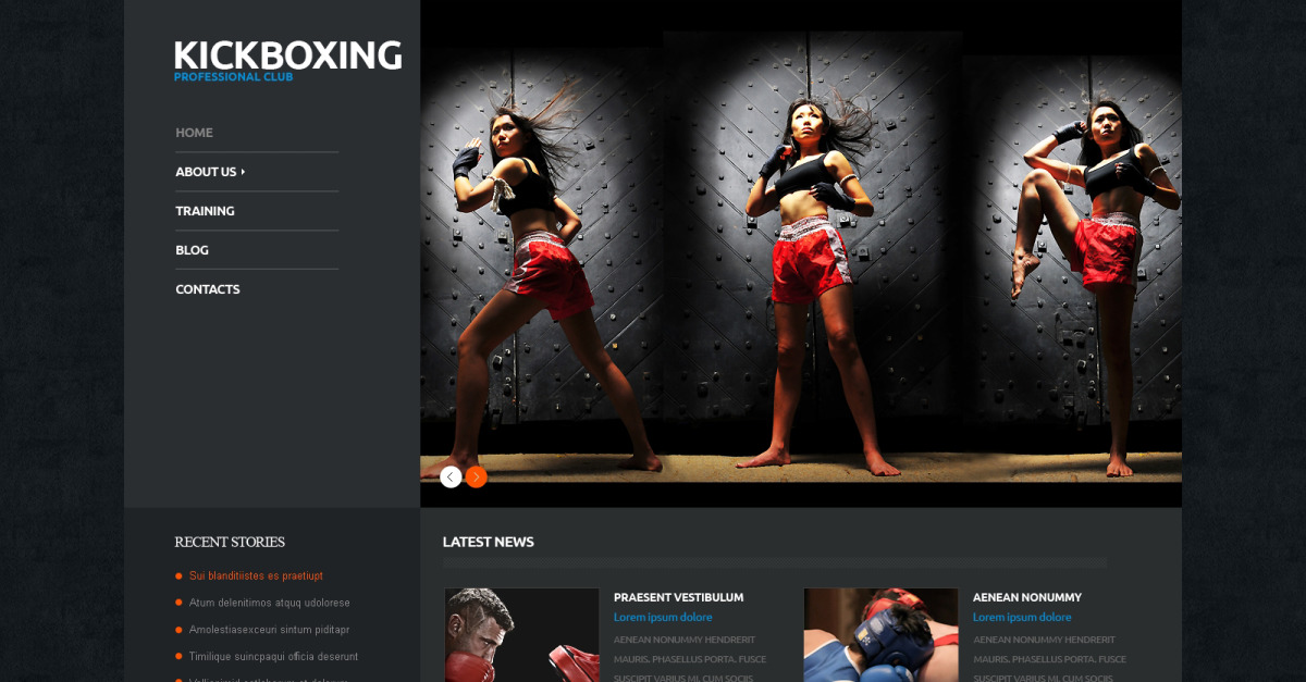 Boxing Responsive WordPress Theme
by WT