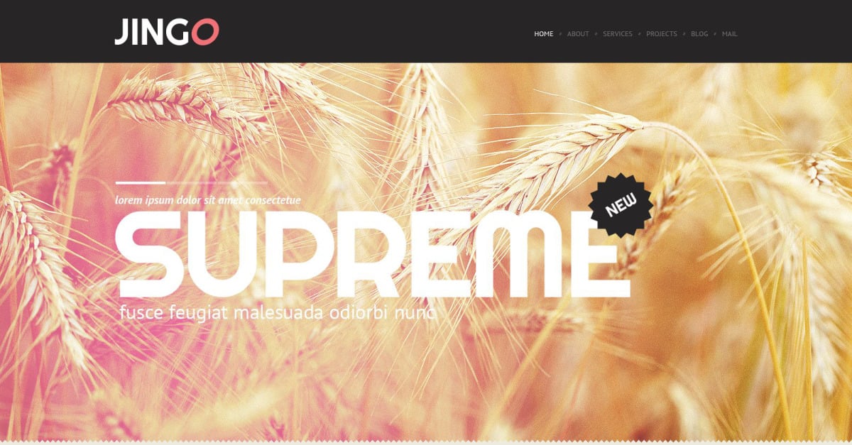 Agriculture WordPress Theme
by WT