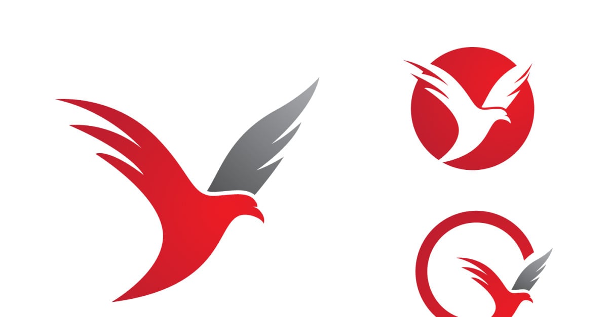 Eagle hawk wing icon Template logo design v.5
