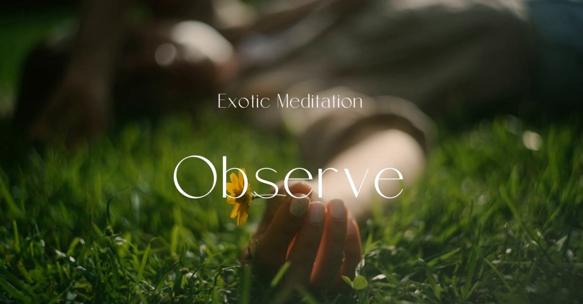 See Beyond Form / Exotic Meditation #523964