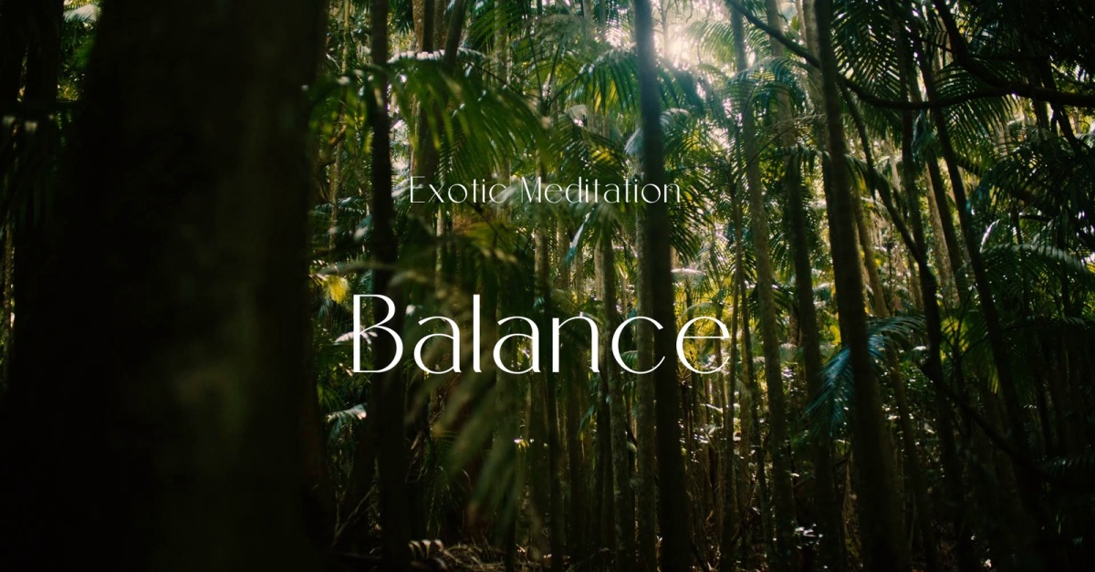 Harmony In Chaos / Exotic Meditation