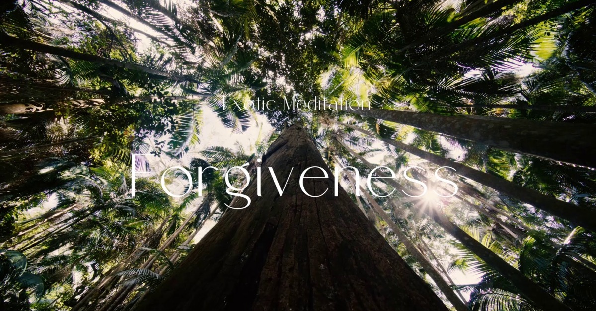 Pardon Broken Promises / Exotic Meditation