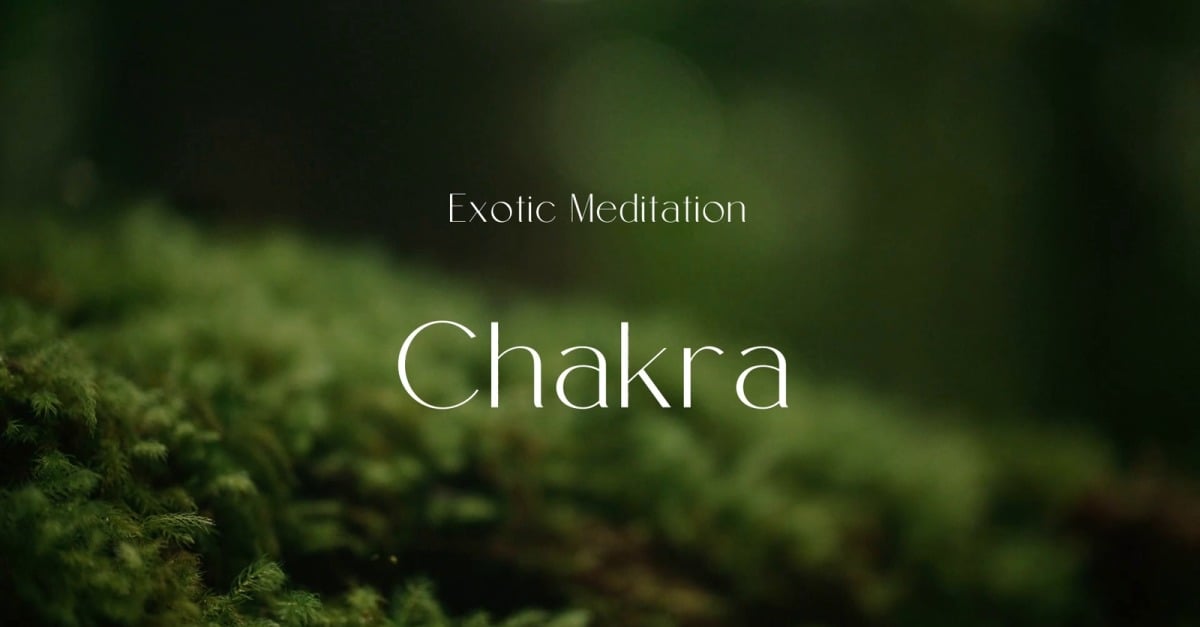 Feel Energy Radiate / Exotic Meditation