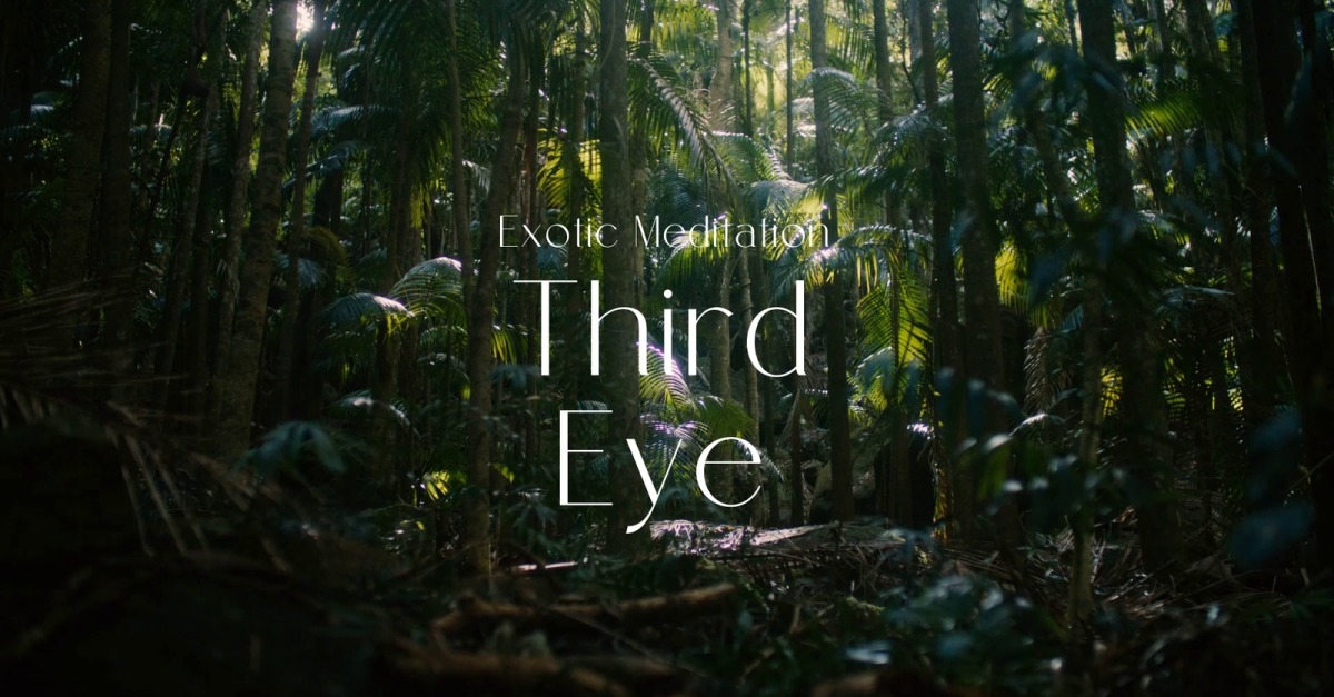 See Unseen Worlds / Exotic Meditation