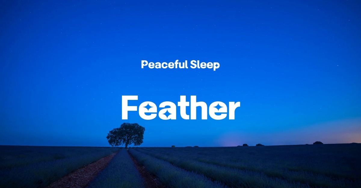 Hide gentle truth / Peaceful Sleep #524449