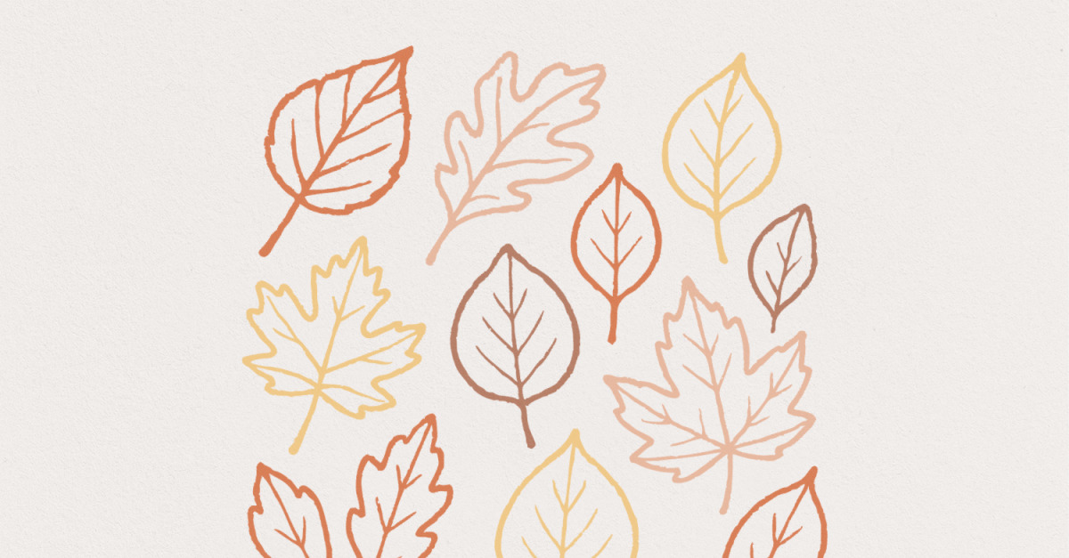 Autumn Leaves PNG, Fall Leaves PNG, Hand Drawn Outline Leaf Clipart, Rustic Botanical Illustration,