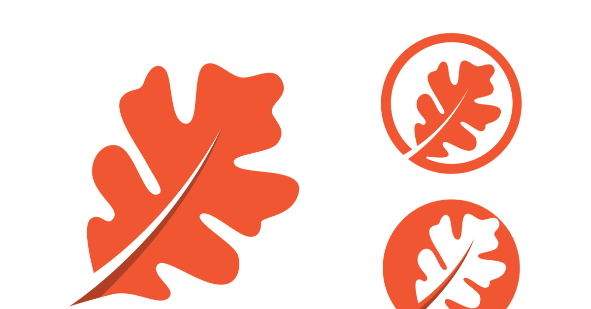 Maple leaf icon vector illustration logo template v.1