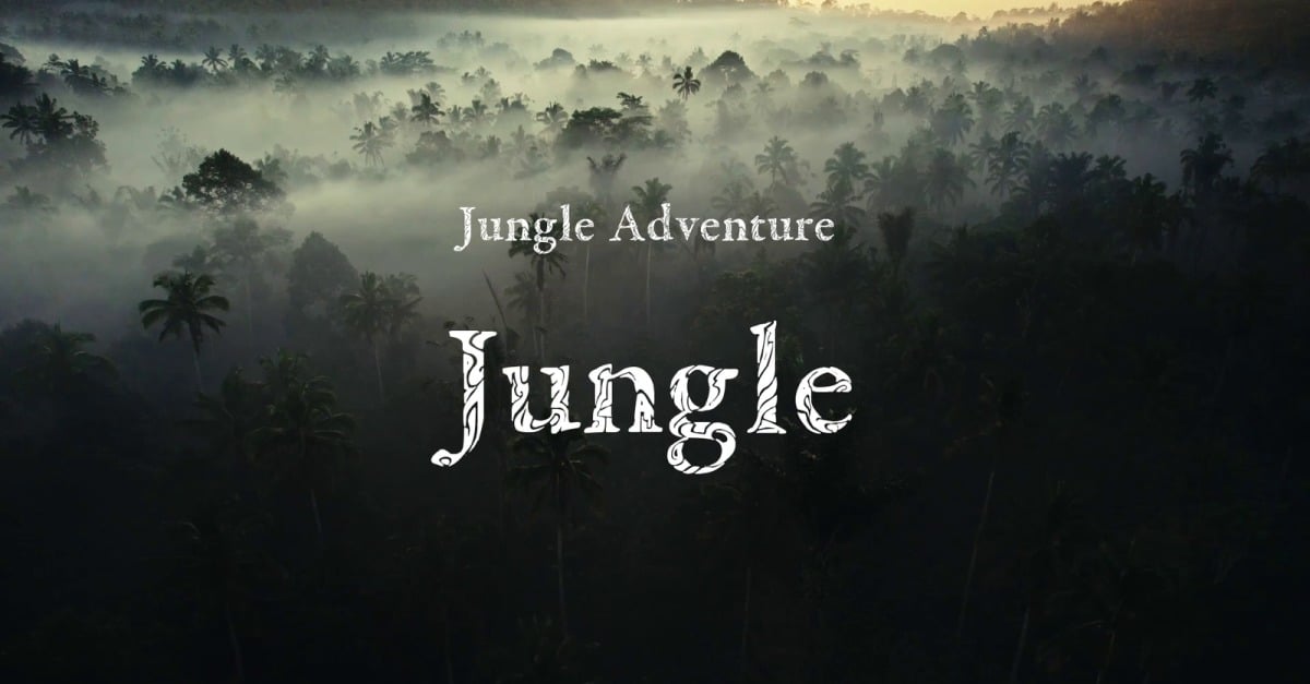 Stand Your Ground / Jungle Adventure