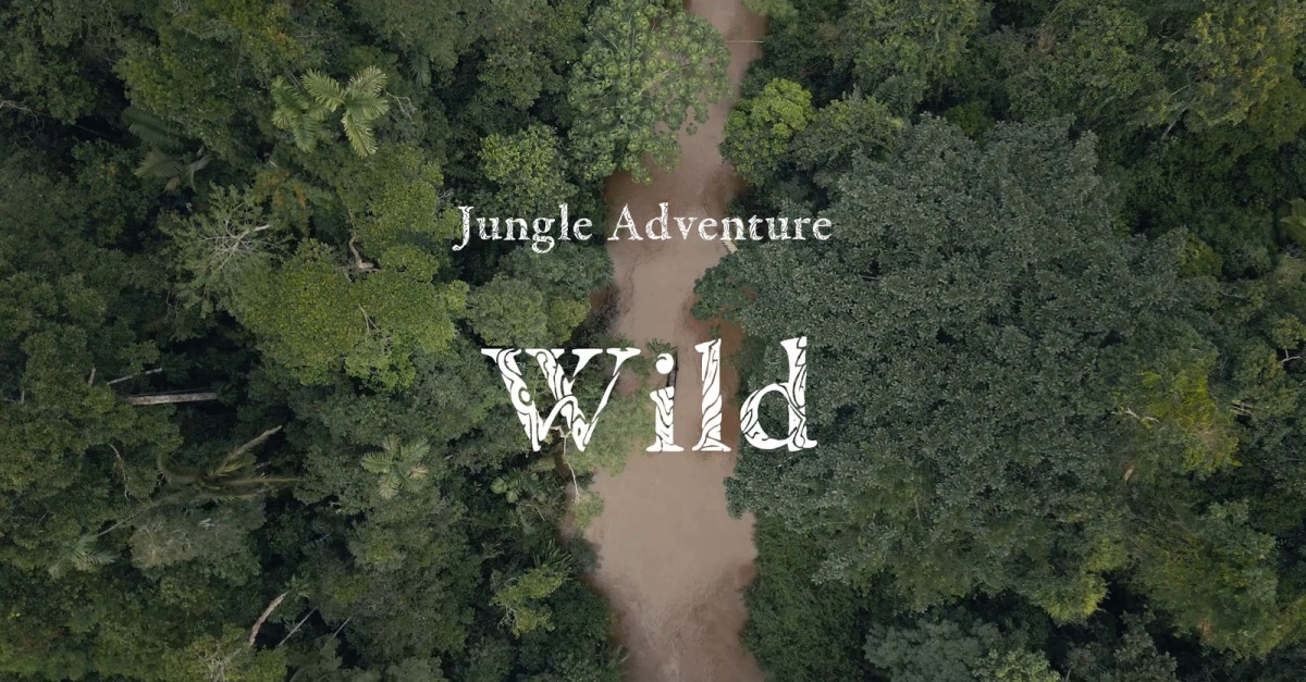 Hear The Howl / Jungle Adventure #531802