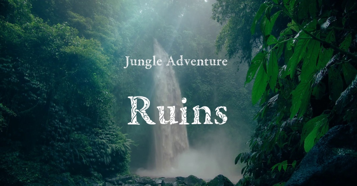 Lost And Found / Jungle Adventure #531943