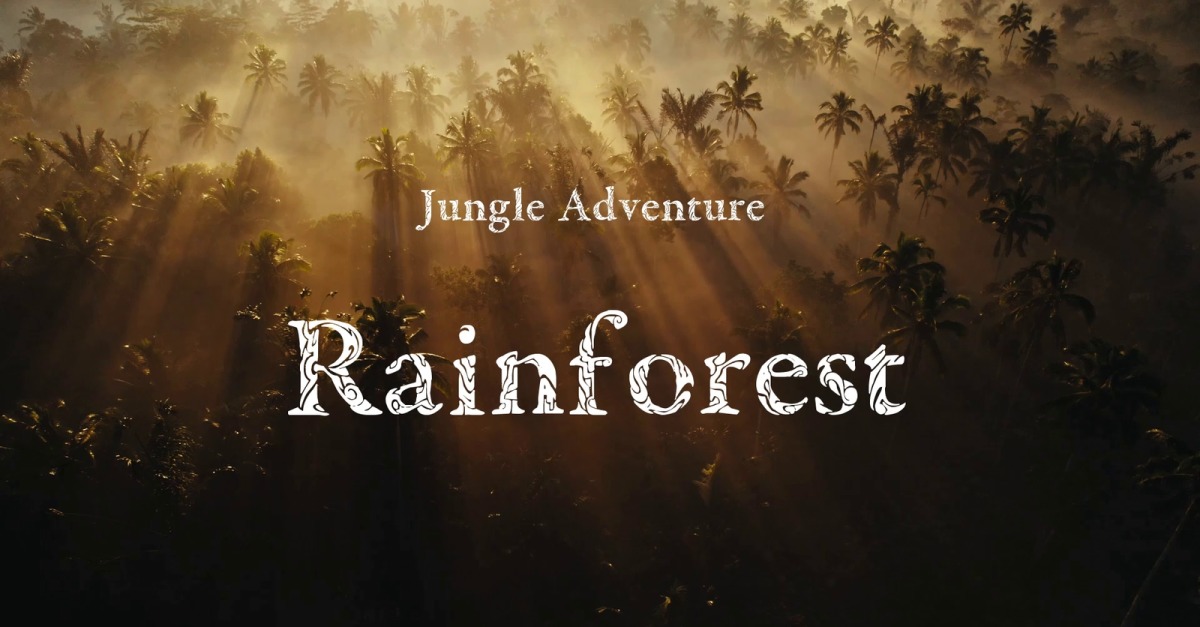 We Crave Shelter / Jungle Adventure #532081