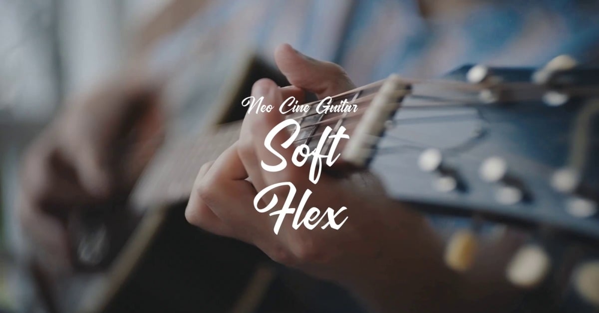 Mild Triumph Felt / Neo Cine Guitar #535166