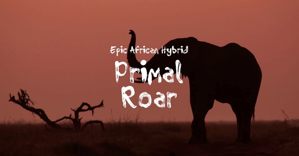 Sound Is Power / Epic African Hybrid