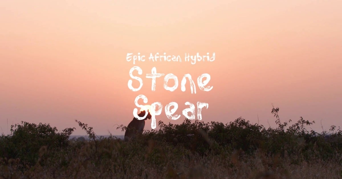 Stone Endures Time / Epic African Hybrid