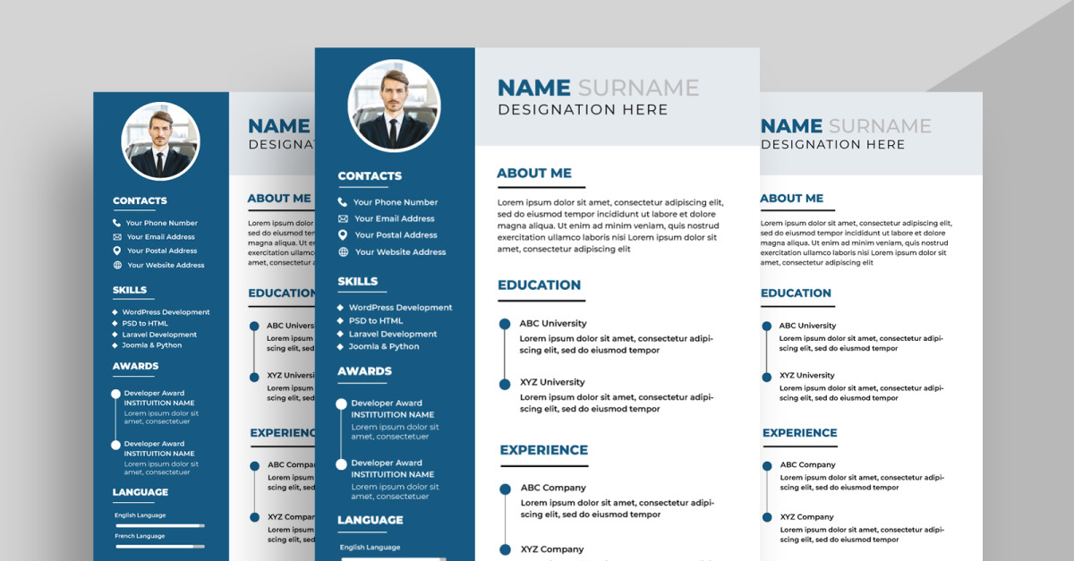 Modern Resume CV Template Ver-3 #541393 - TemplateMonster