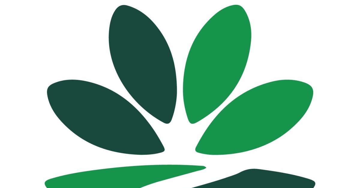 A minimalist logo design for a Evergreen