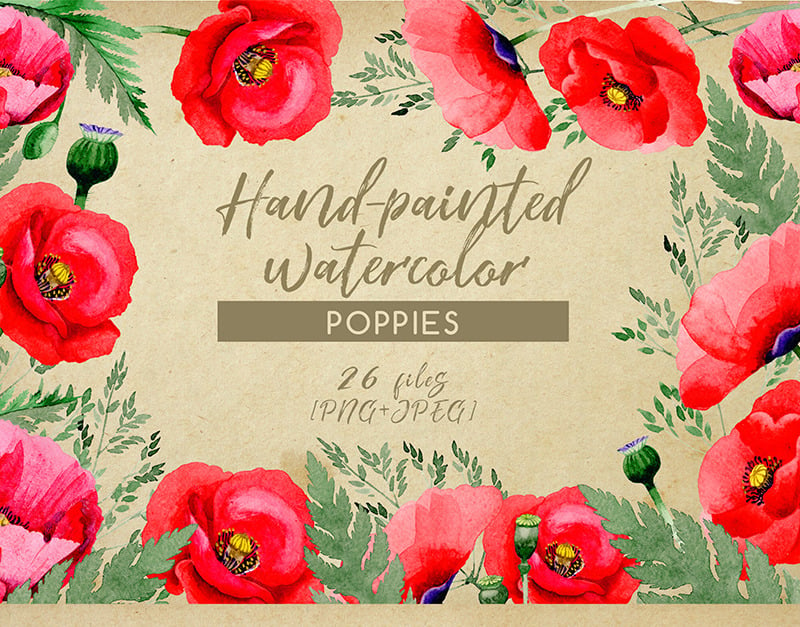 Hand-painted Poppies PNG Watercolor Set - Illustration