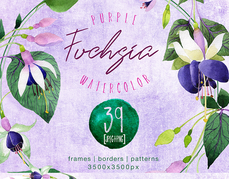 Púrpura Fucsia PNG Conjunto de flores de acuarela - Ilustración